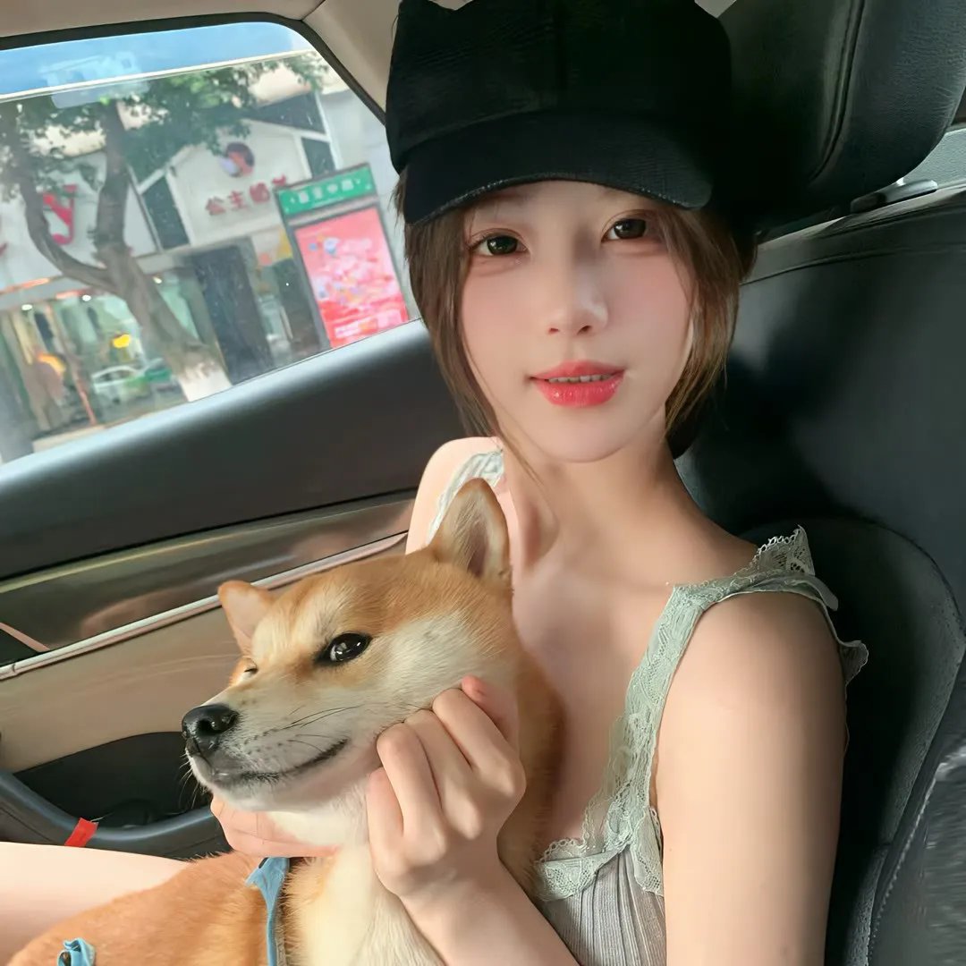 杀手老不休