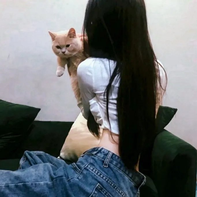 犬夜叉:红莲之蓬莱岛
